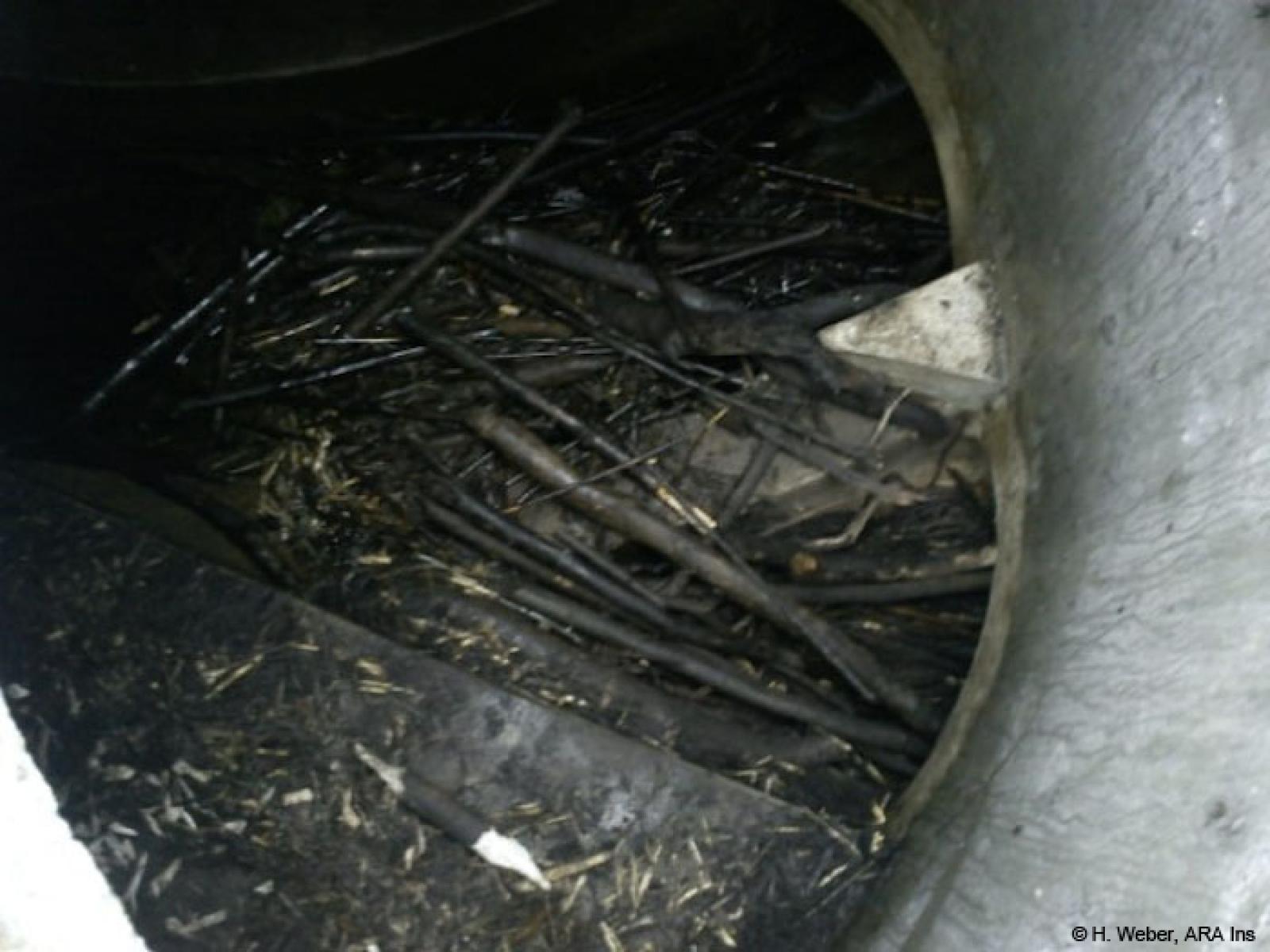 Dans le tuyau en béton, les castors ont aménagé un terrier sur la banquette (en bas de l'image). Avec du bois, les castors ont bloqué l'écoulement. 