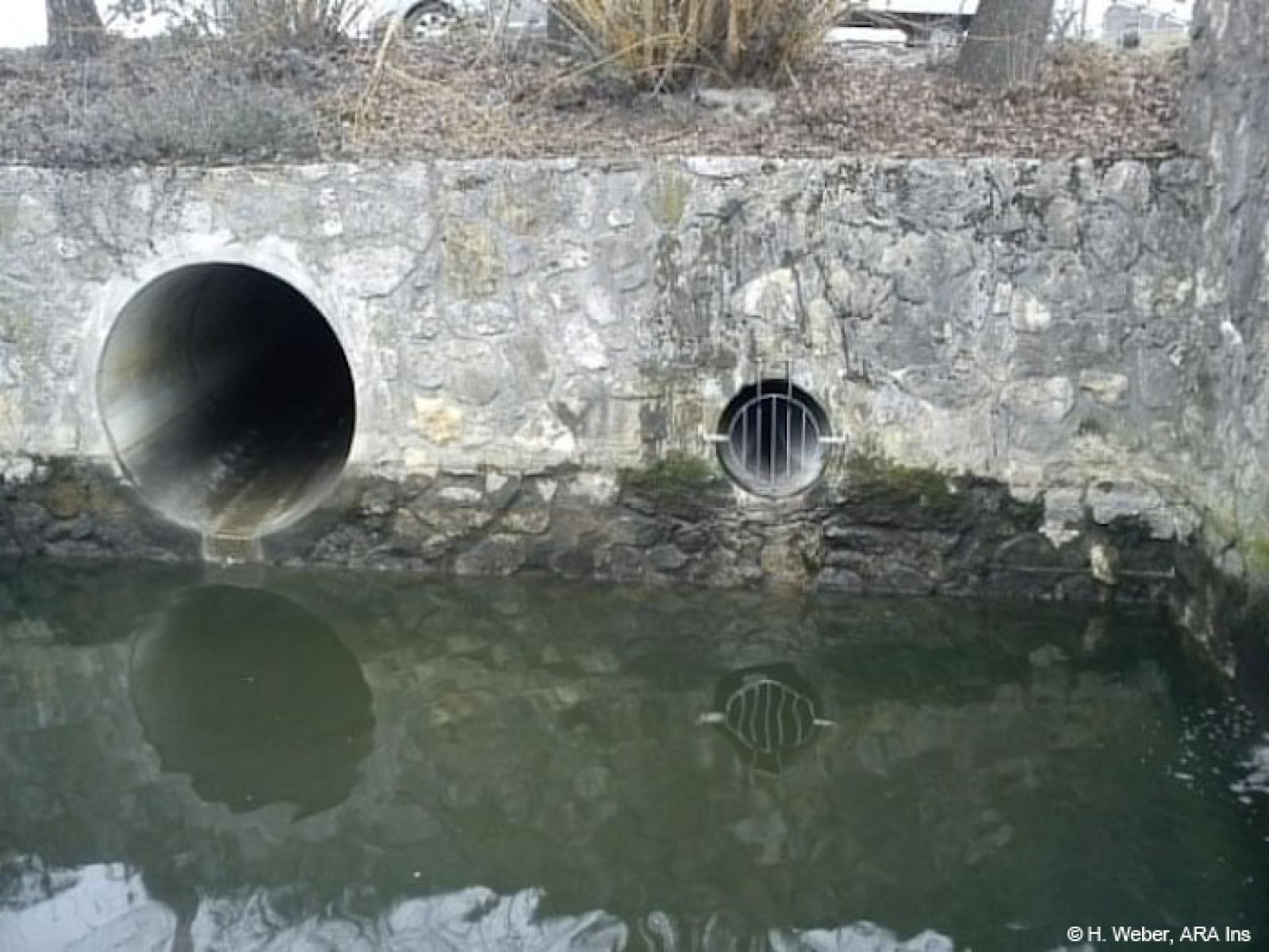  Installiertes Gitter beim Überlauf des ARA-Auslaufs (rechts). Links: Meteorwasserleitung der Gemeinde Ins