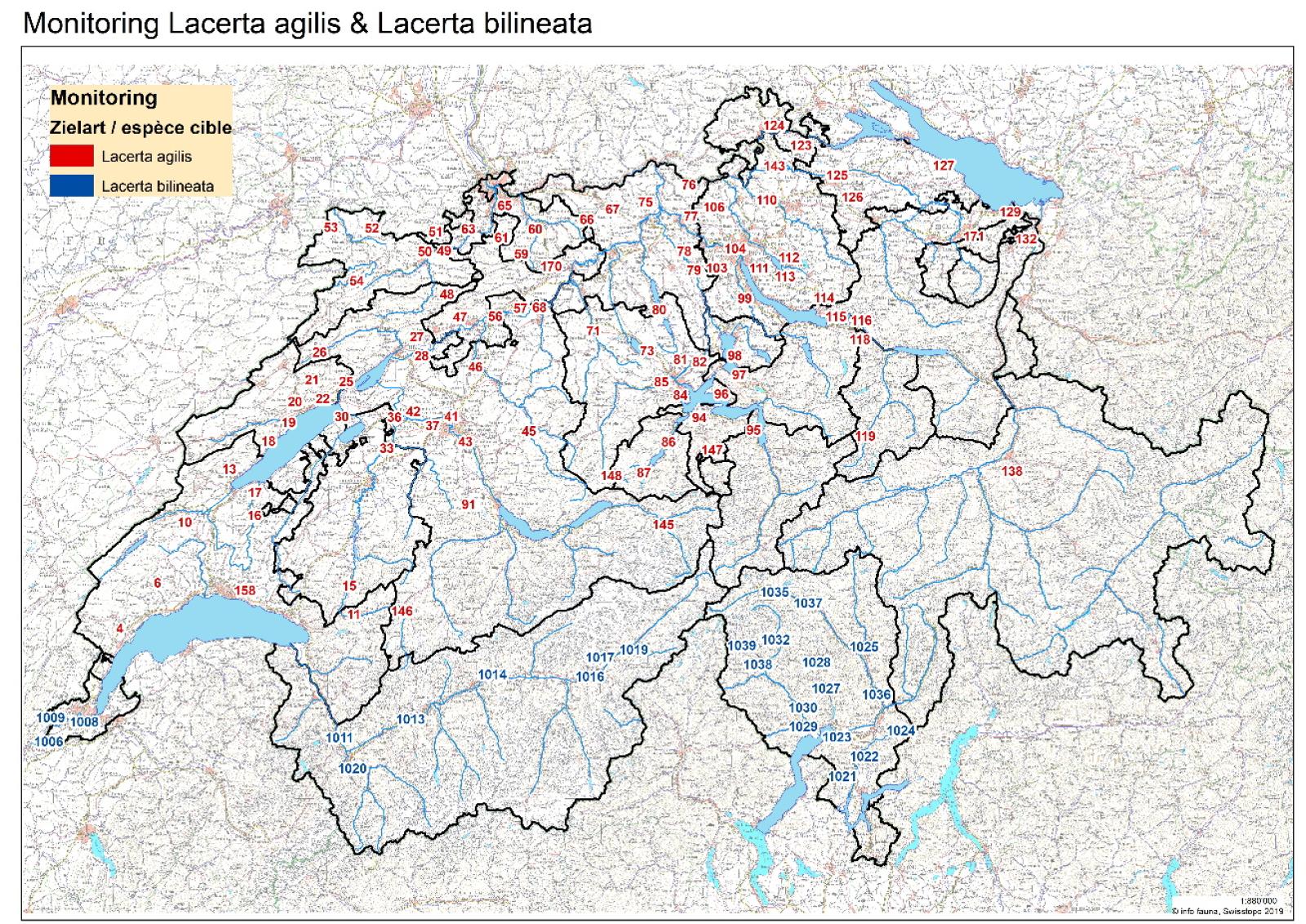 Carte de la Suisse avec sites pour le monitoring du lézard agile et du lézard vert