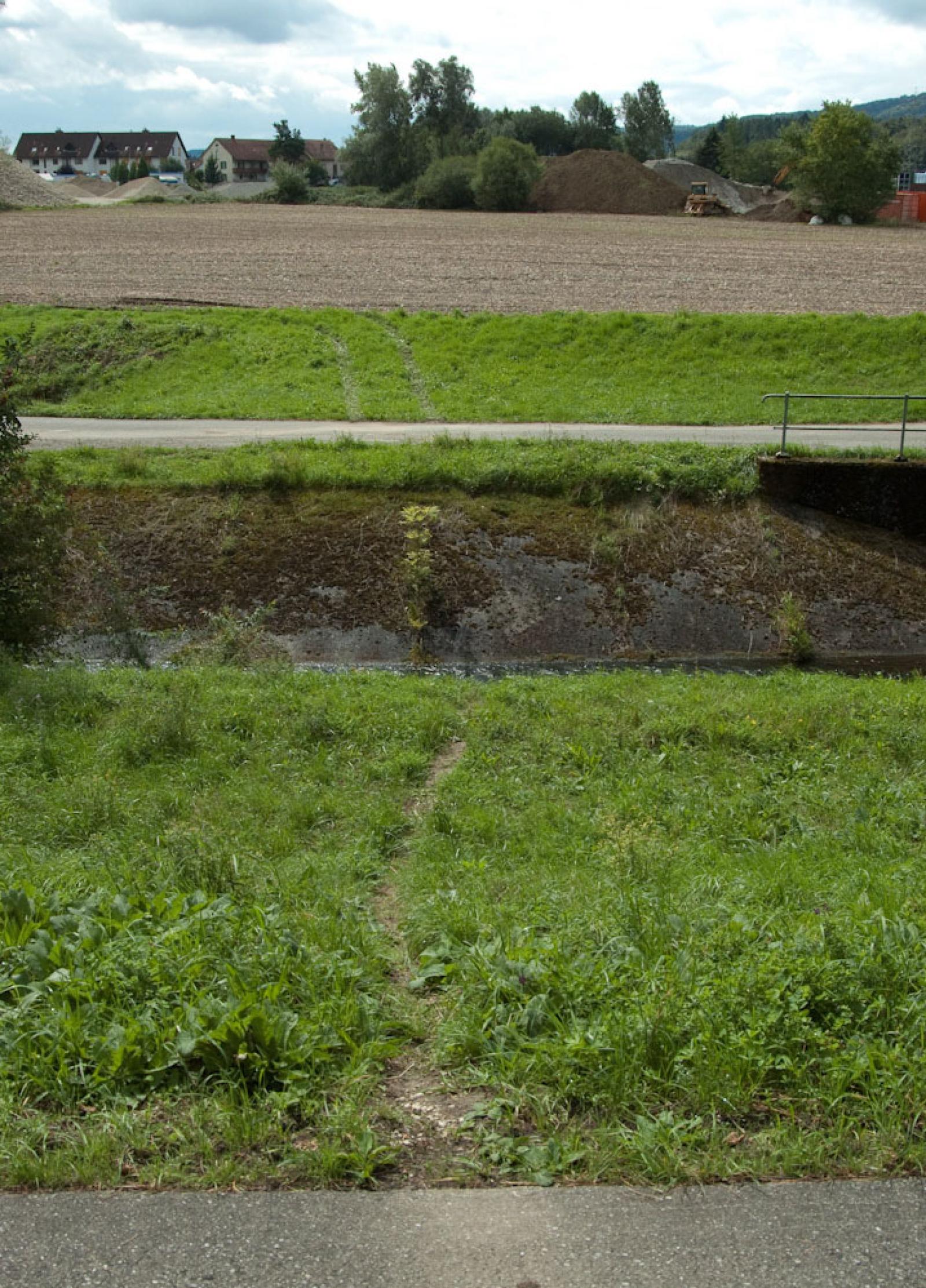 Même passe de castor que l'image ci-dessus, vers le ruisseau (© Christof Angst)