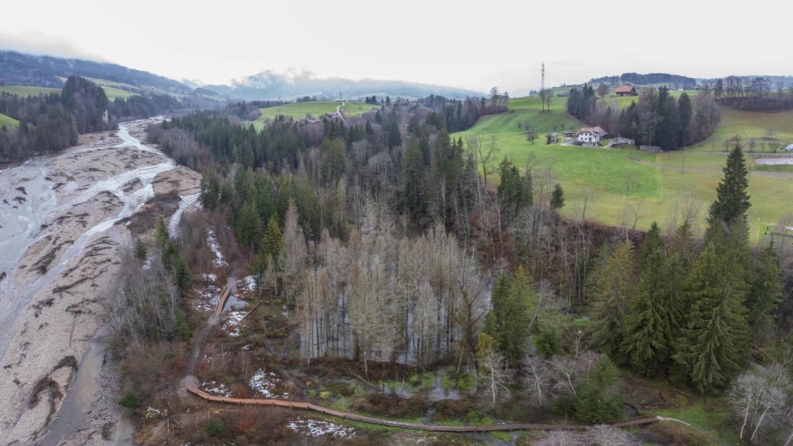 Drohnenaufnahme eines Biberreviers im Wald