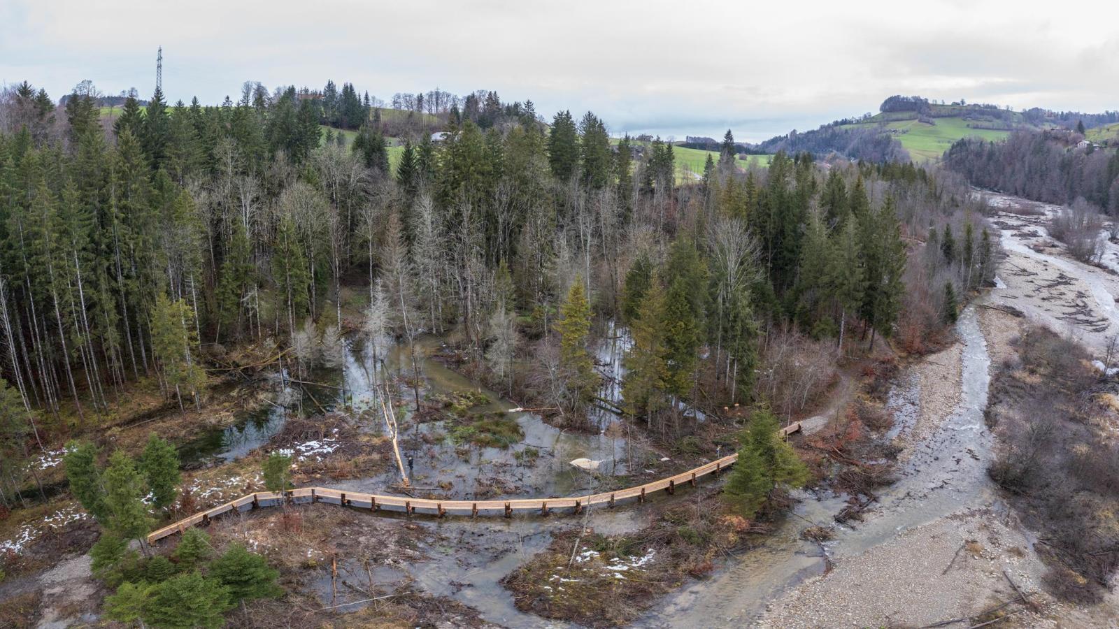 Drohnenaufnahme eines Biberreviers im Wald