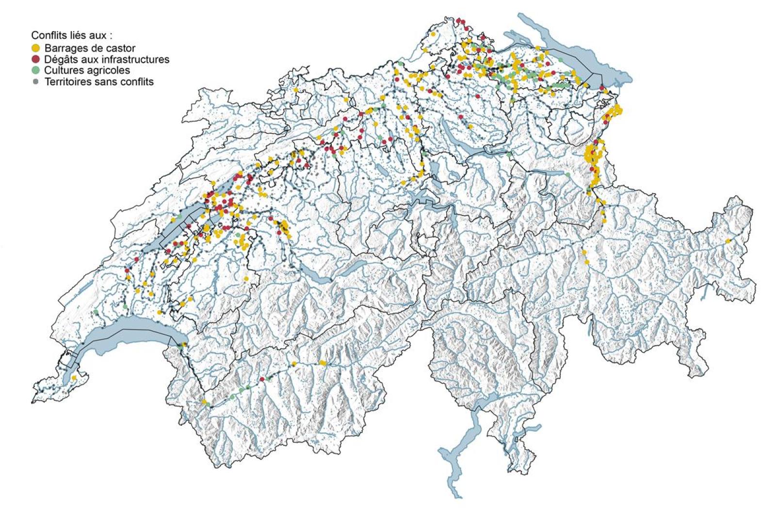 Répartition des territoires du castors avec conflit