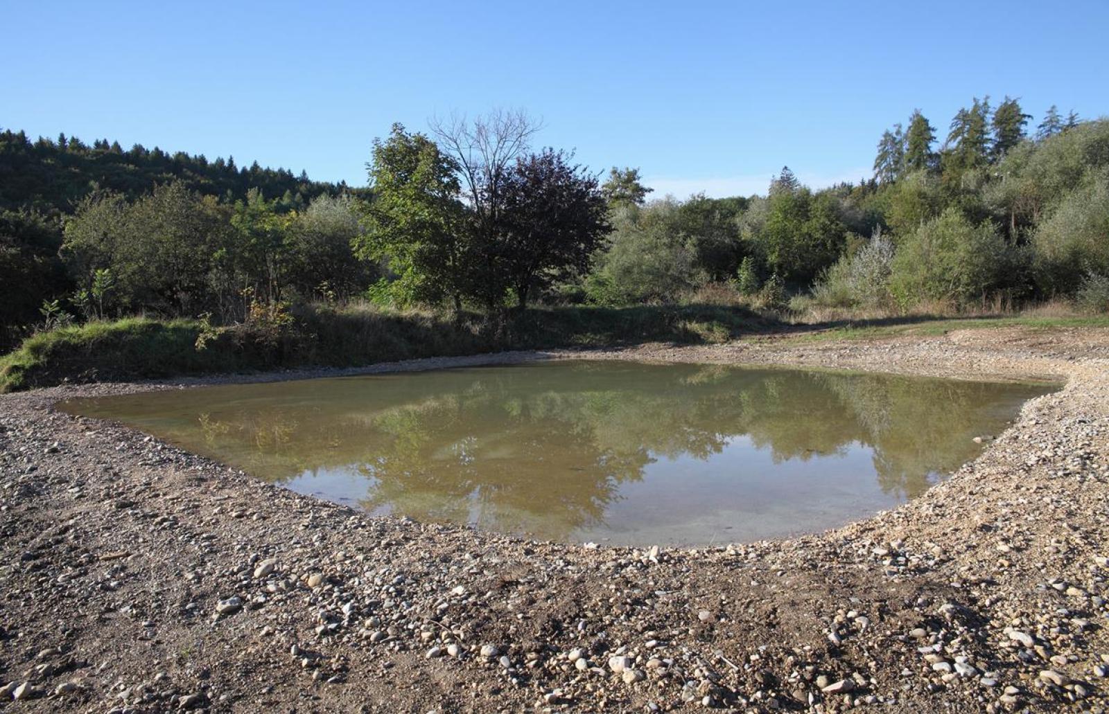 Grosser, seichter Weiher ohne Vegetation