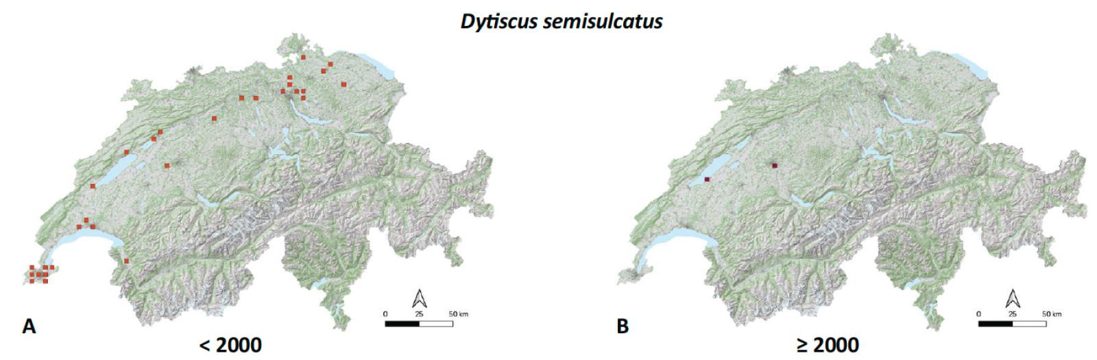 Verbreitungskarte von Dytiscus semisulcatus