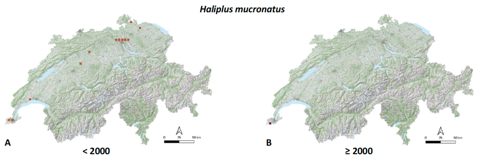 Cartes de distribution de Haliplus mucronatus