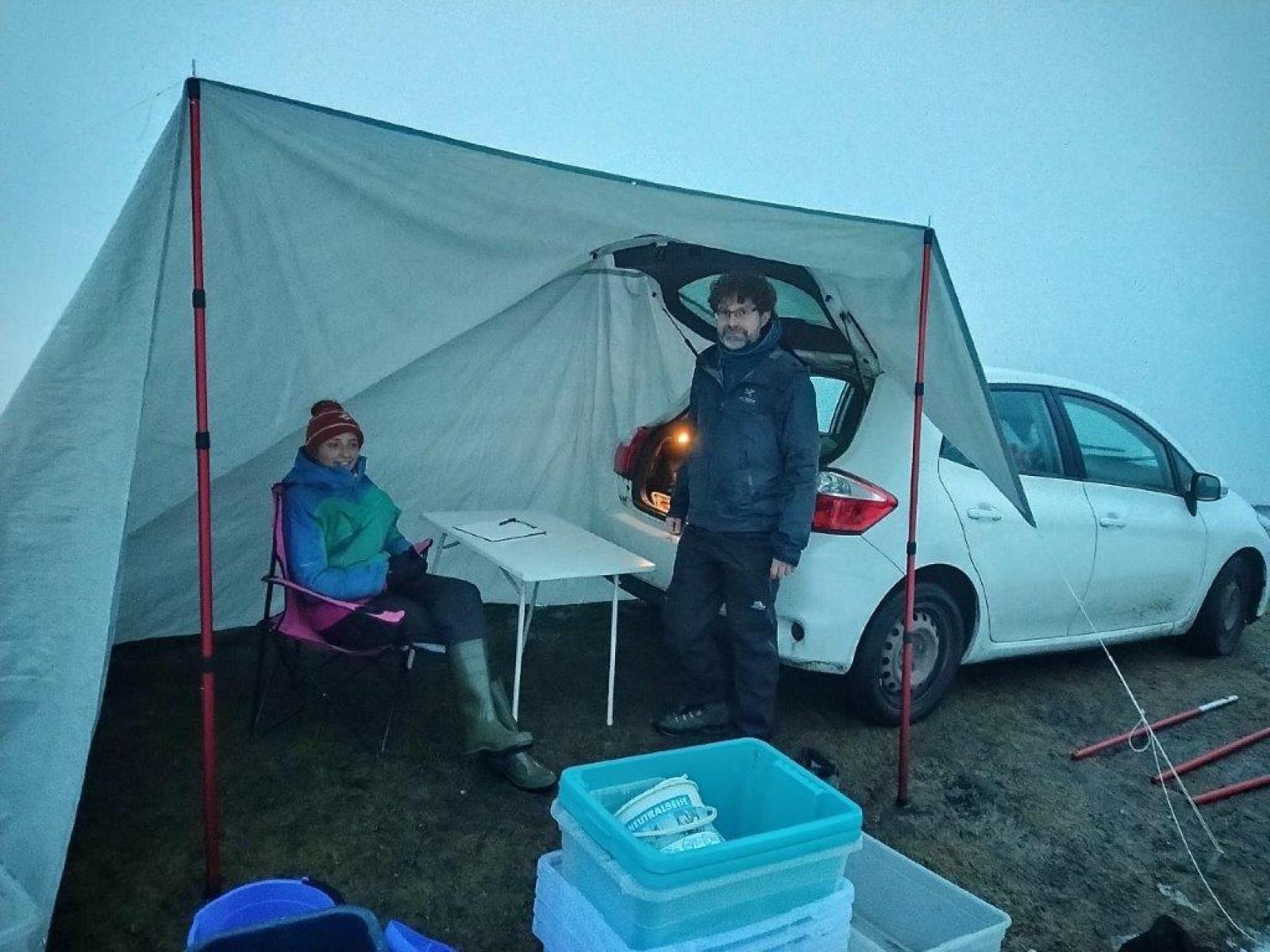 Feldbüro für die Amphibienvermessung (© Sarah Althaus) Auto mit aufgespanntem Zeltdach