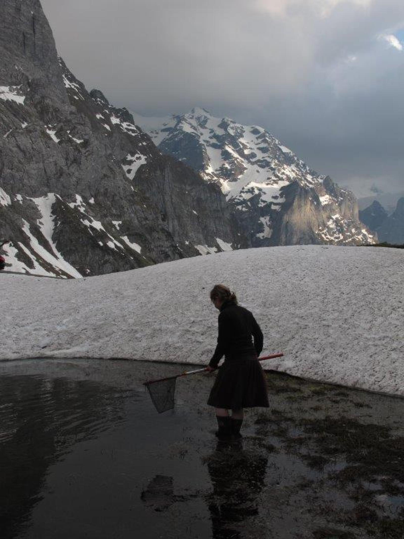 Feldarbeit Erdkröten (© Sarah Althaus) Frau im Wasser mit Kescher