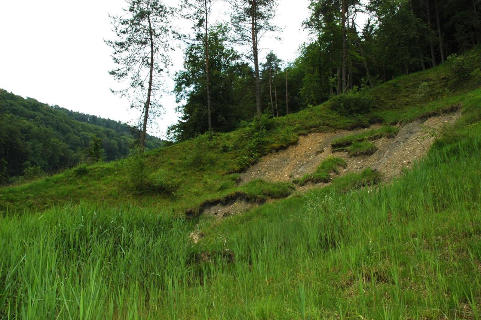 Étang avec beaucoup de végétation et talus à côté