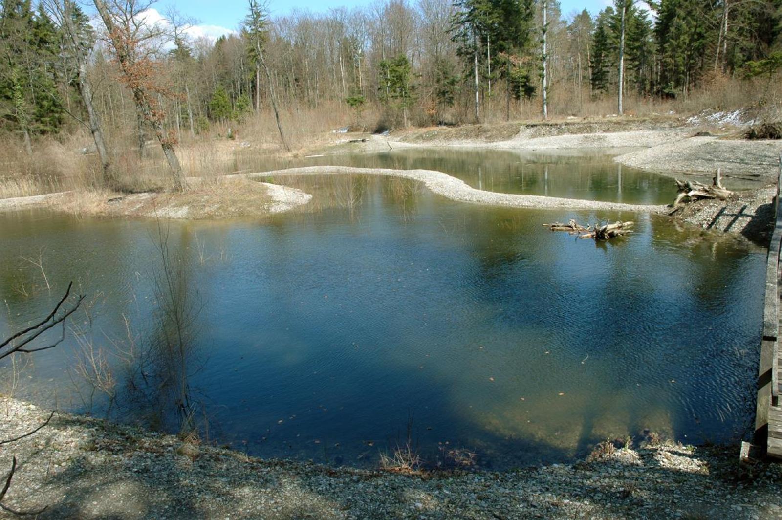 Grosser Weiher mit blauem Wasser