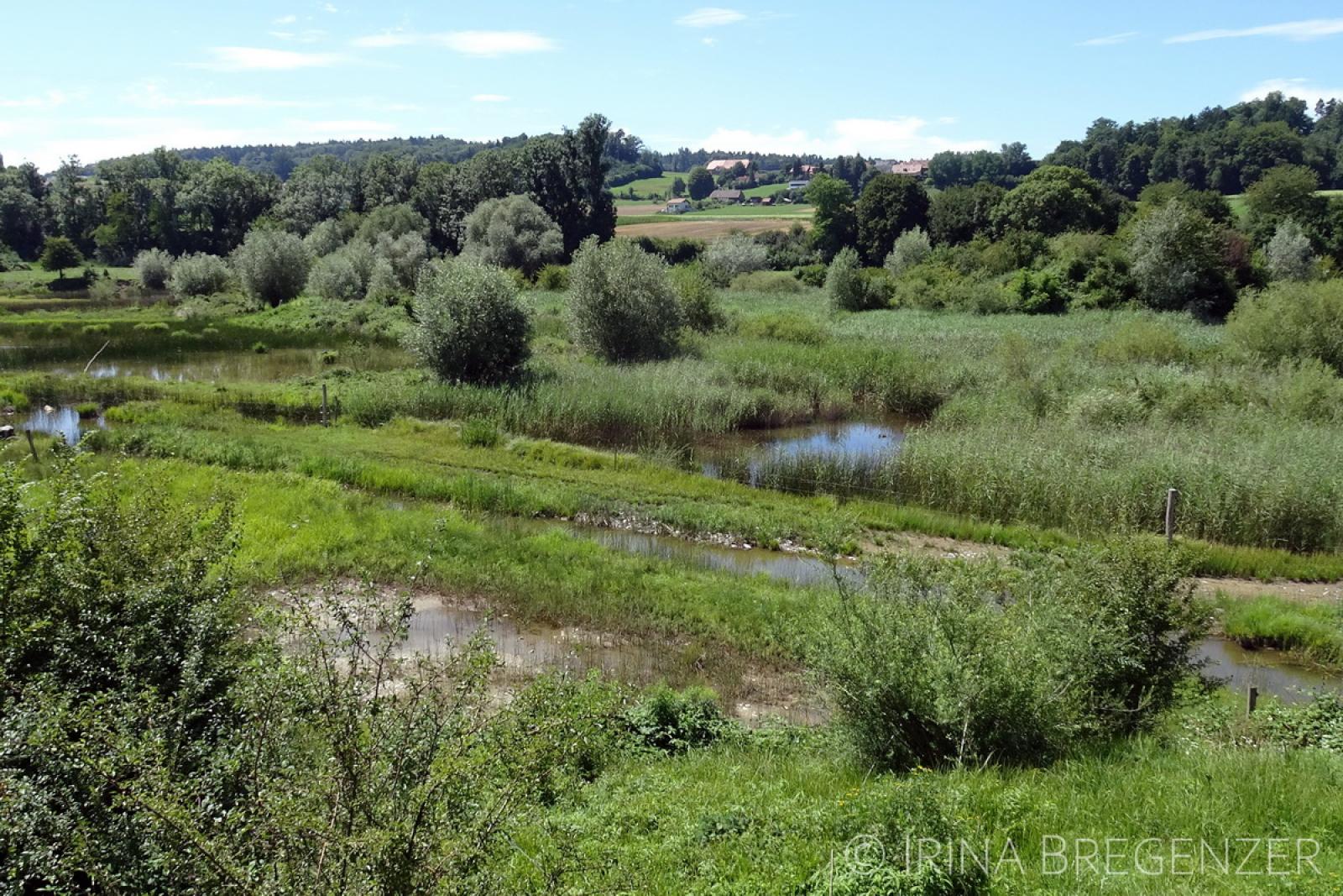 Paysage avec plusieurs étangs