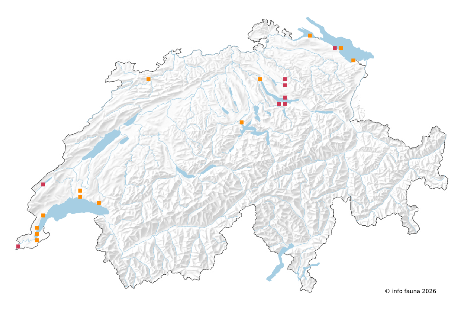 Beobachtungskarte von Ephemera glaucops in der Schweiz