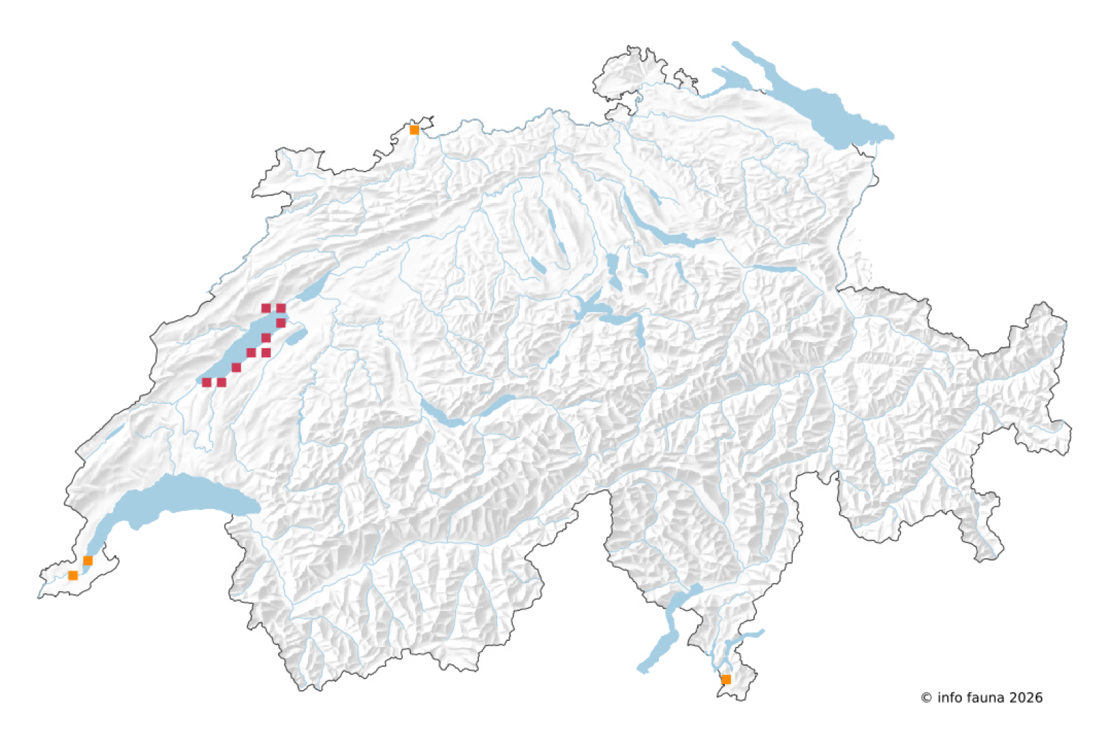 Beobachtungskarte von Ephemera lineata in der Schweiz
