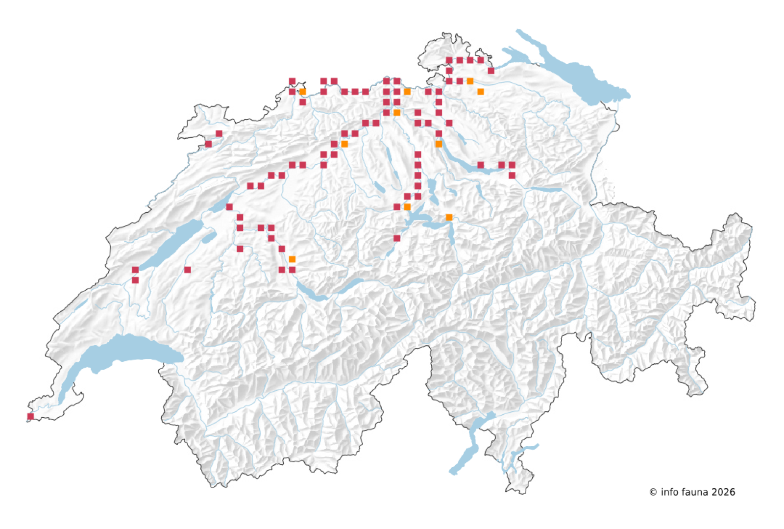 Beobachtungskarte von Potamanthus luteus in der Schweiz