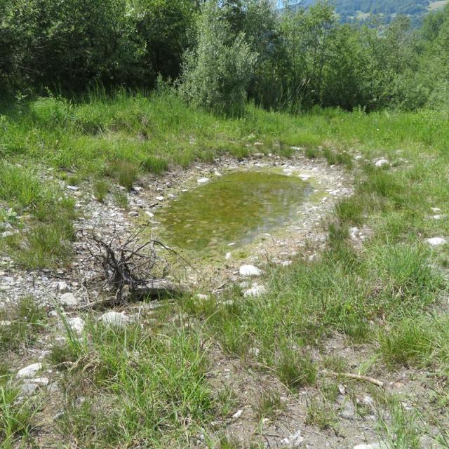 Etang à moitié rempli d'eau