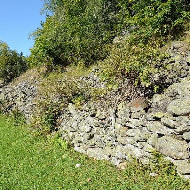 Stützmauer am Rand einer extensiv genutzten Wiese