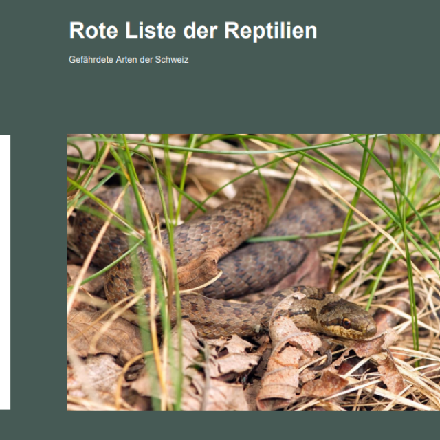 Titelbild der Publikation Rote Liste der Reptilien, 2023