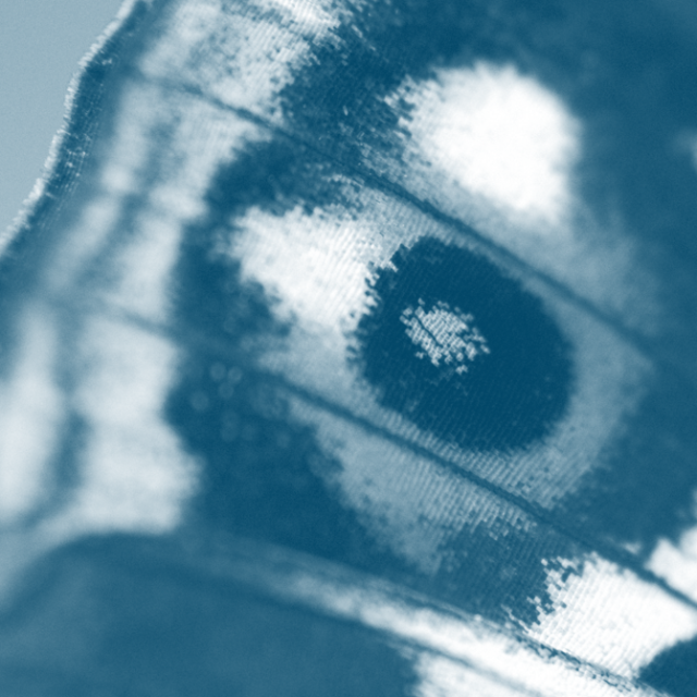 Portrait neutre Portrait neutre