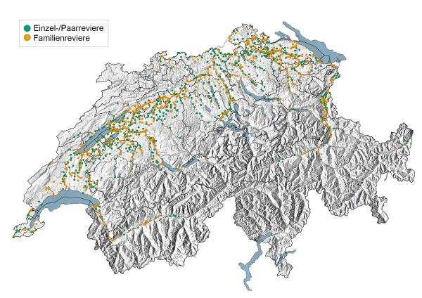 Verbreitungskarte des Bibers in der Schweiz 2022 (c) info fauna, swisstopo Verbreitungskarte des Bibers in der Schweiz 2022