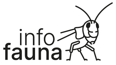 Logo info fauna