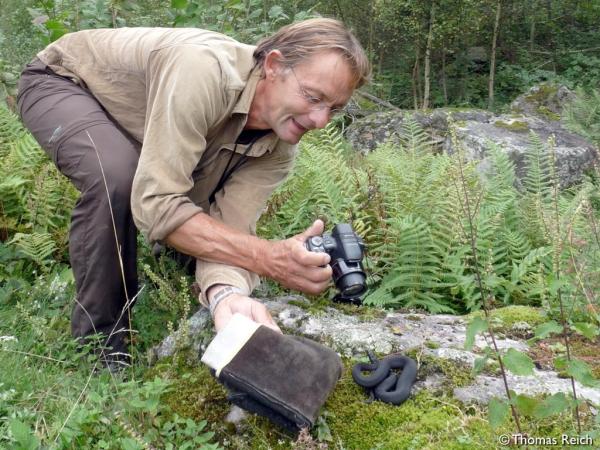 Jean-Claude Monney en train de photographier un serpent