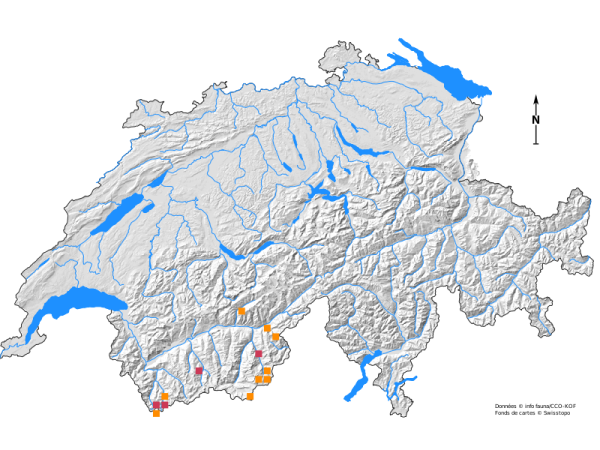 Carte de distribution de Chelidura aptera