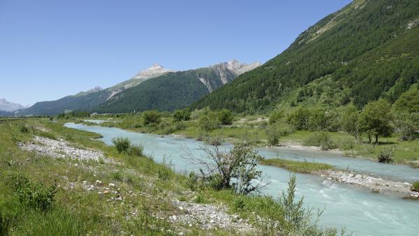 Cours d'eau naturel