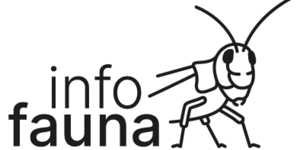 Logo info fauna