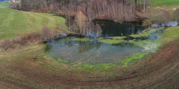 Qualité des eaux