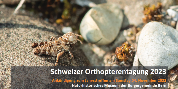 Schweizer Orthopterentagung 2023 (© Orthoptera.ch)