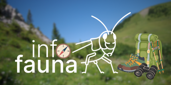 graphique avec logo info fauna et sac à dos