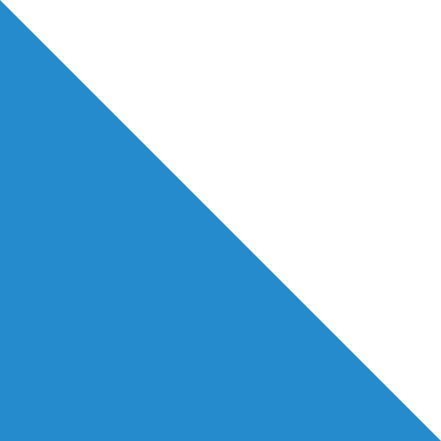 Drapeau du canton de Zürich Drapeau du canton de Zürich