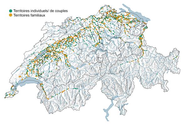 Carte de distribution du castor en 2022 en Suisse